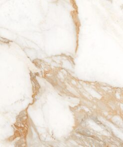 Gạch nhập khẩu Ấn Độ 80x80 Calacatta Oro