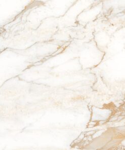 Gạch nhập khẩu Ấn Độ 80x80 Calacatta Oro