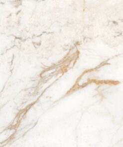 Gạch nhập khẩu Ấn Độ 80x80 Calacatta Oro