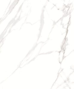 Gạch nhập khẩu Ấn Độ Coliseo Blanco