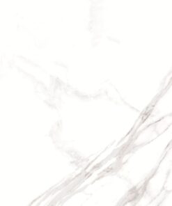 Gạch nhập khẩu Ấn Độ Coliseo Blanco