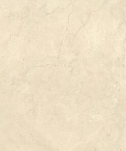 Gạch nhập khẩu Italia 120x120 Calcis Avorio