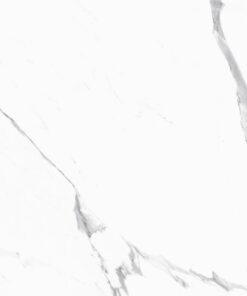 Gạch nhập khẩu Italia 120x120 Statuario Lux