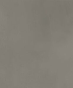 Gạch nhập khẩu Italia 60x120 Appeal Grey