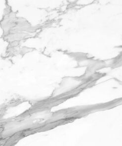 Gạch nhập khẩu Italia 60x120 Statuario Lux