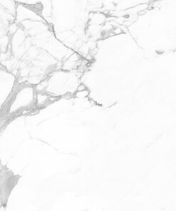 Gạch nhập khẩu Italia 60x120 Statuario Lux