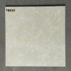 Gạch Viglacera 60x60 mã TB610