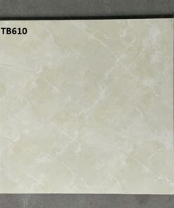 Gạch Viglacera 60x60 mã TB610