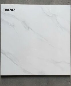 Gạch Viglacera 80x80 mã TB8707
