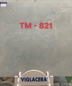 Gạch Viglacera 80x80 mã TM821