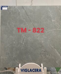 Gạch Viglacera 80x80 mã TM822