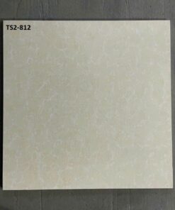 Gạch Viglacera 80x80 mã TS2-812