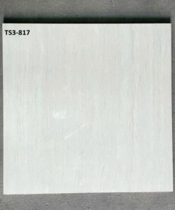 Gạch Viglacera 80x80 mã TS3-817
