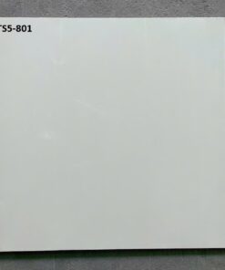 Gạch Viglacera 80x80 mã TS5-801