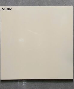 Gạch Viglacera 80x80 mã TS5-802