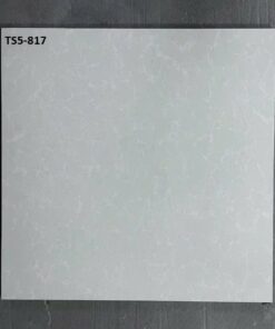 Gạch Viglacera 80x80 mã TS5-817