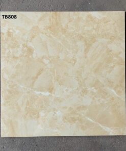 Gạch Viglacera 80x80 mã TB808