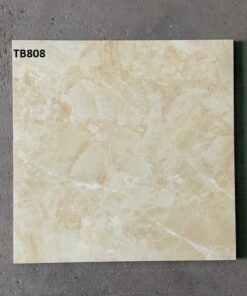 Gạch Viglacera 80x80 mã TB808