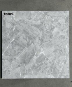 Gạch Viglacera 80x80 mã TB809