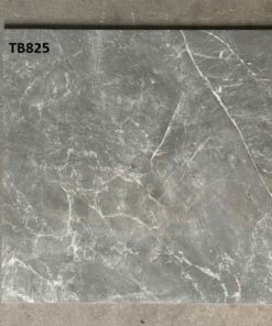 Gạch Viglacera 80x80 mã TB825