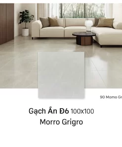 Gạch Ấn Độ 100x100 Morro Grigro - Phối cảnh 1