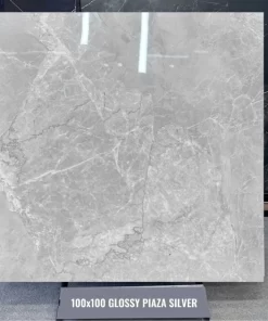 Gạch Ấn Độ 100x100 Piaza Silver