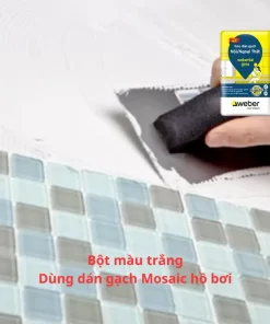 Keo dán gạch webertai gres bột màu trắng